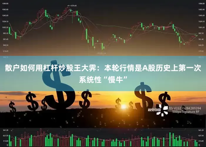 散户如何用杠杆炒股王大霁：本轮行情是A股历史上第一次系统性“慢牛”